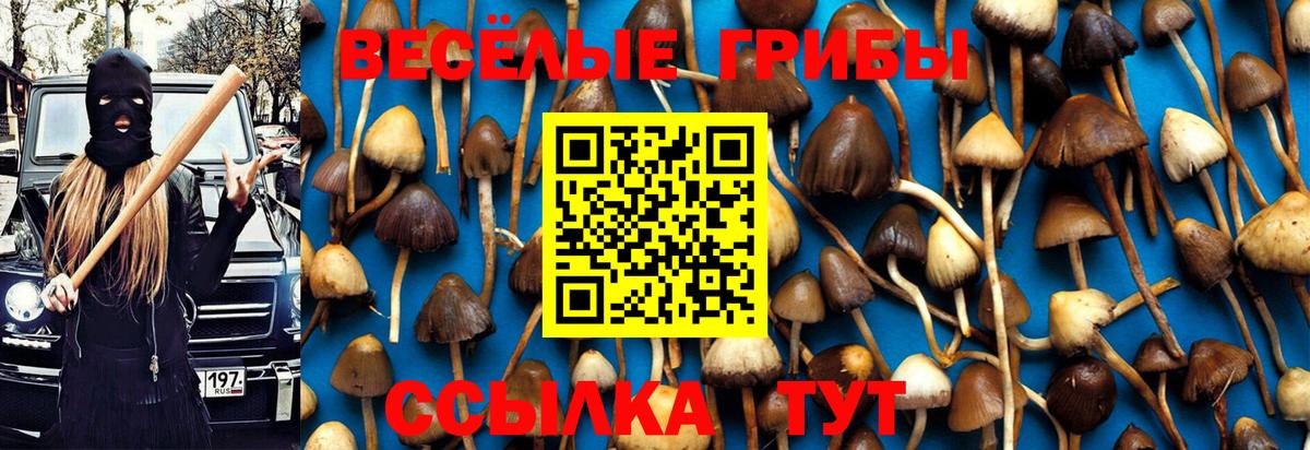 Галлюциногенные грибы прущие грибы  Галлюциногенные грибы Psilocybine cubensis  Вход с VPN  Шадринск 