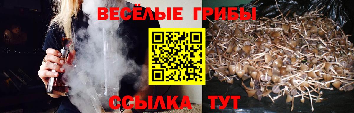 Псилоцибиновые грибы ЛСД Шадринск